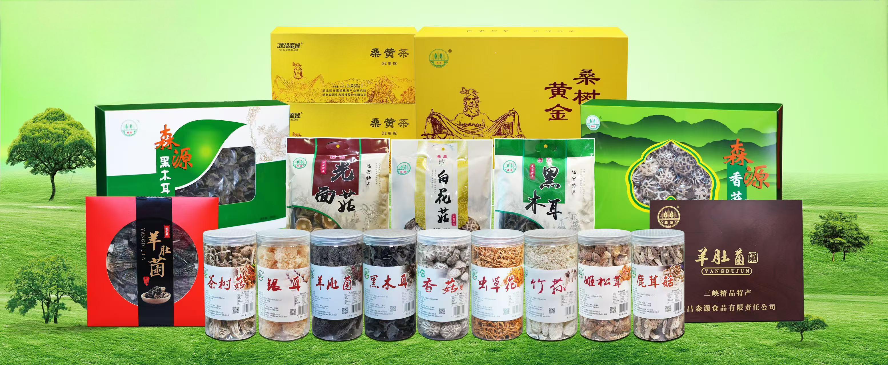 hahabet星辰大海官方网站-妄想从这里起头