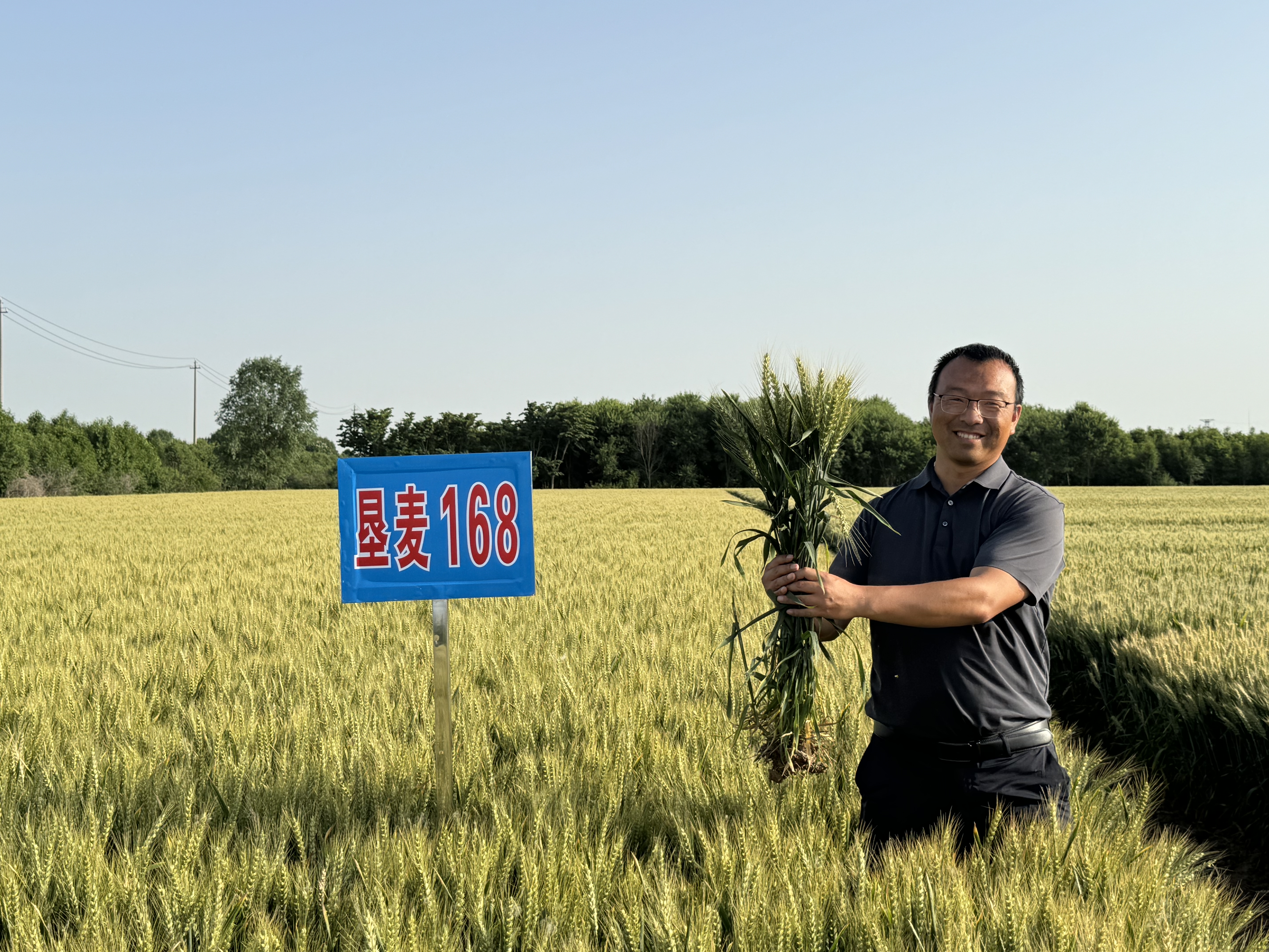 hahabet星辰大海官方网站-妄想从这里起头