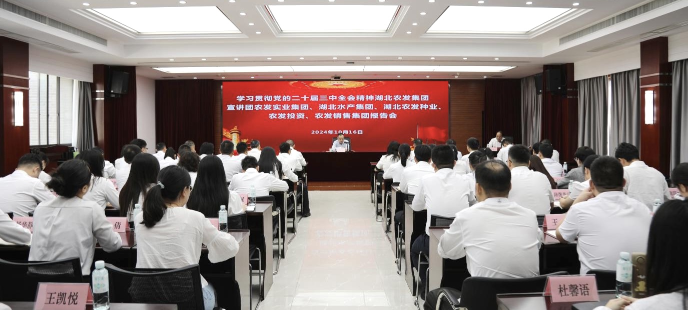 hahabet星辰大海官方网站-妄想从这里起头