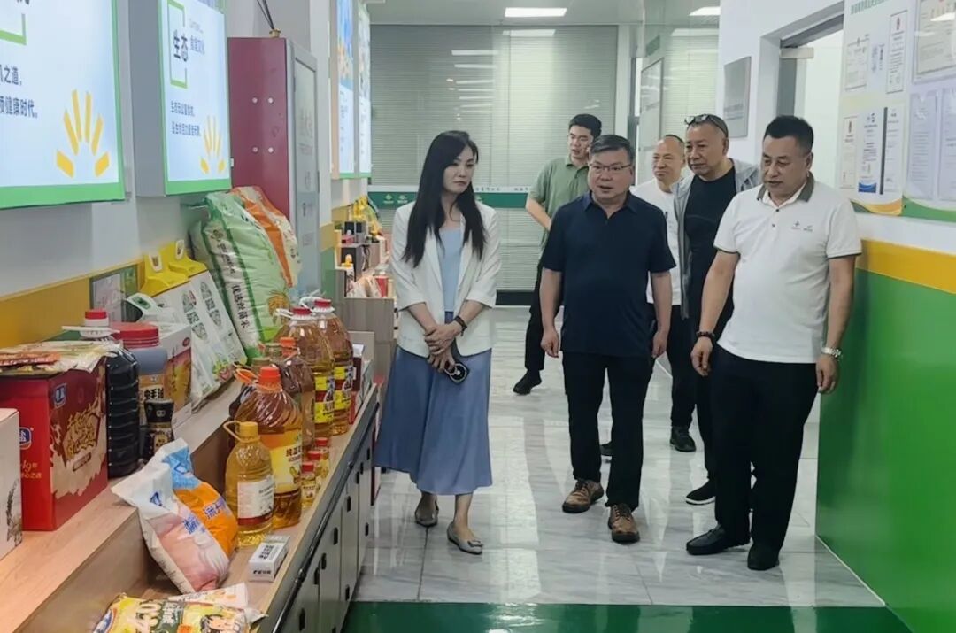 hahabet星辰大海官方网站-妄想从这里起头
